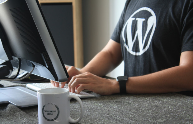 WordPress development